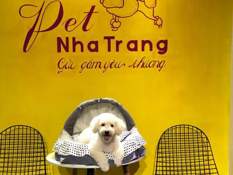 Pet Nha Trang pet shop fnbmaps.com