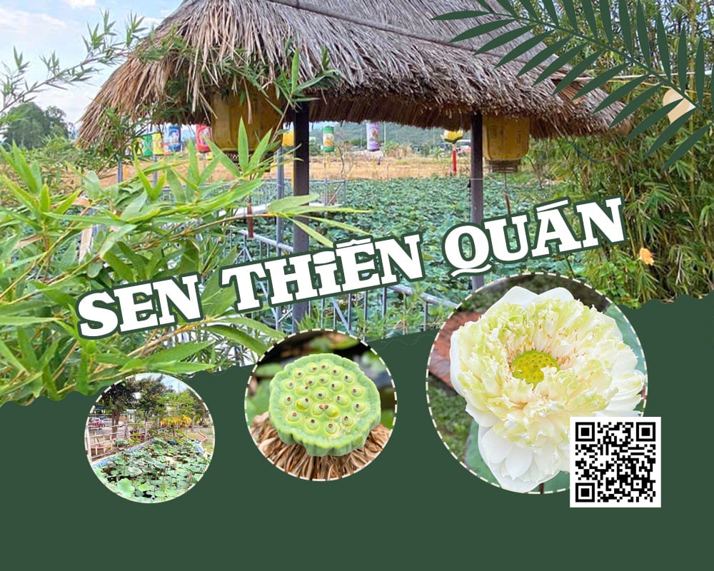 Sen Thiền Quán Chay Vĩnh Thái Nha Trang
