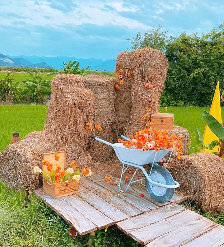 Gác Lúa Coffee – Quán cà phê view đồng lúa siêu chill ở Diên Khánh, Khánh Hòa