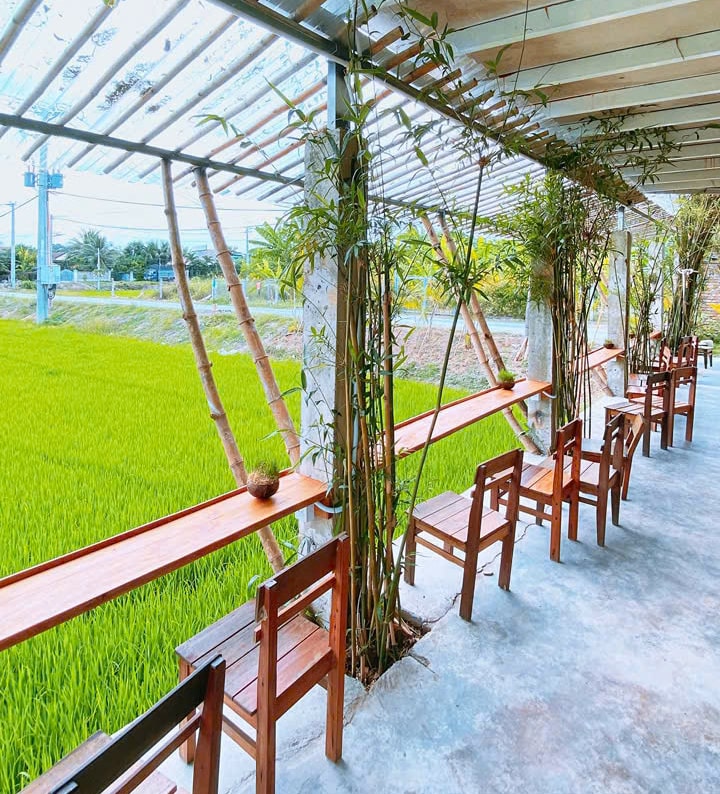Gác Lúa Coffee – Quán cà phê view đồng lúa siêu chill ở Diên Khánh, Khánh Hòa