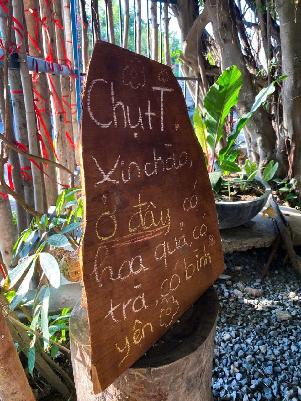 Chụt T Coffee Nha Trang | Fnbmaps.com