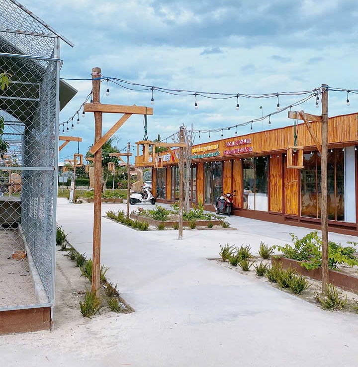 Chợ Đêm Cam Lâm Điểm Hẹn Ẩm Thực & Mua Sắm Sôi Động Ở Khánh Hòa | FNBMaps.Com