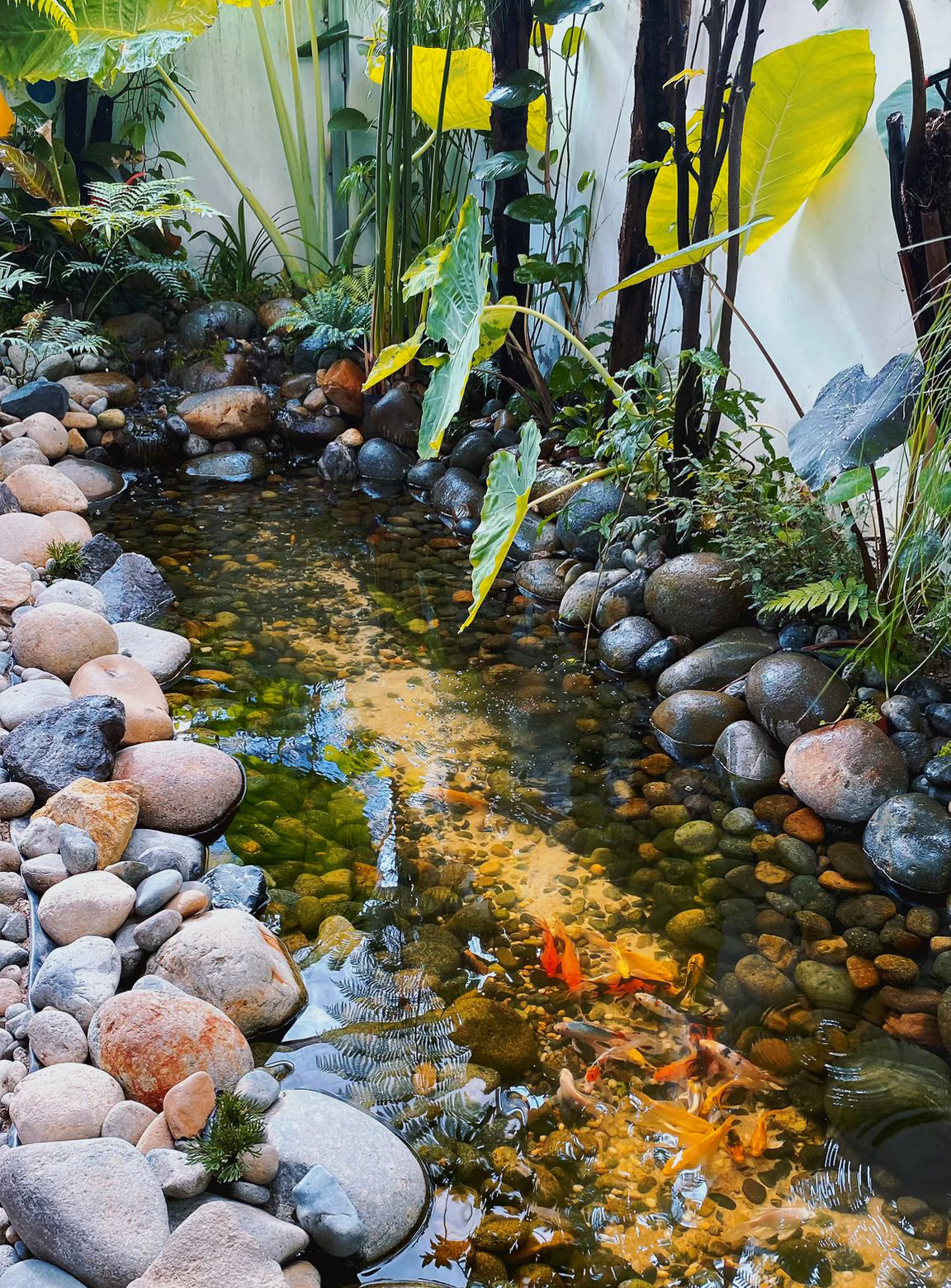 Tiệm cà phê ngày bình yên Nha Trang| FNBMaps.com