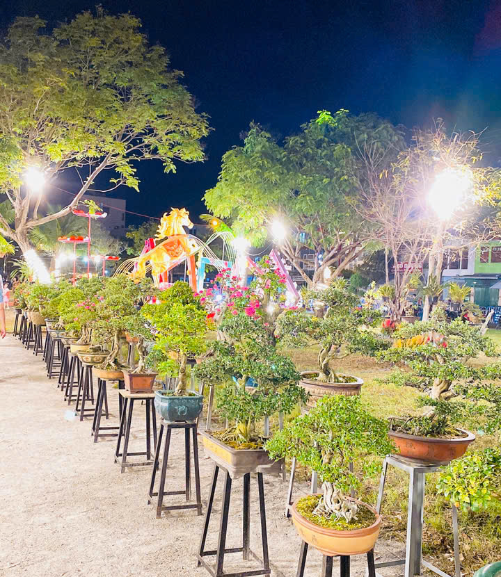 Chính Thức Khai Mạc "Lễ Hội Hoa Xuân" Phường Nam Nha Trang