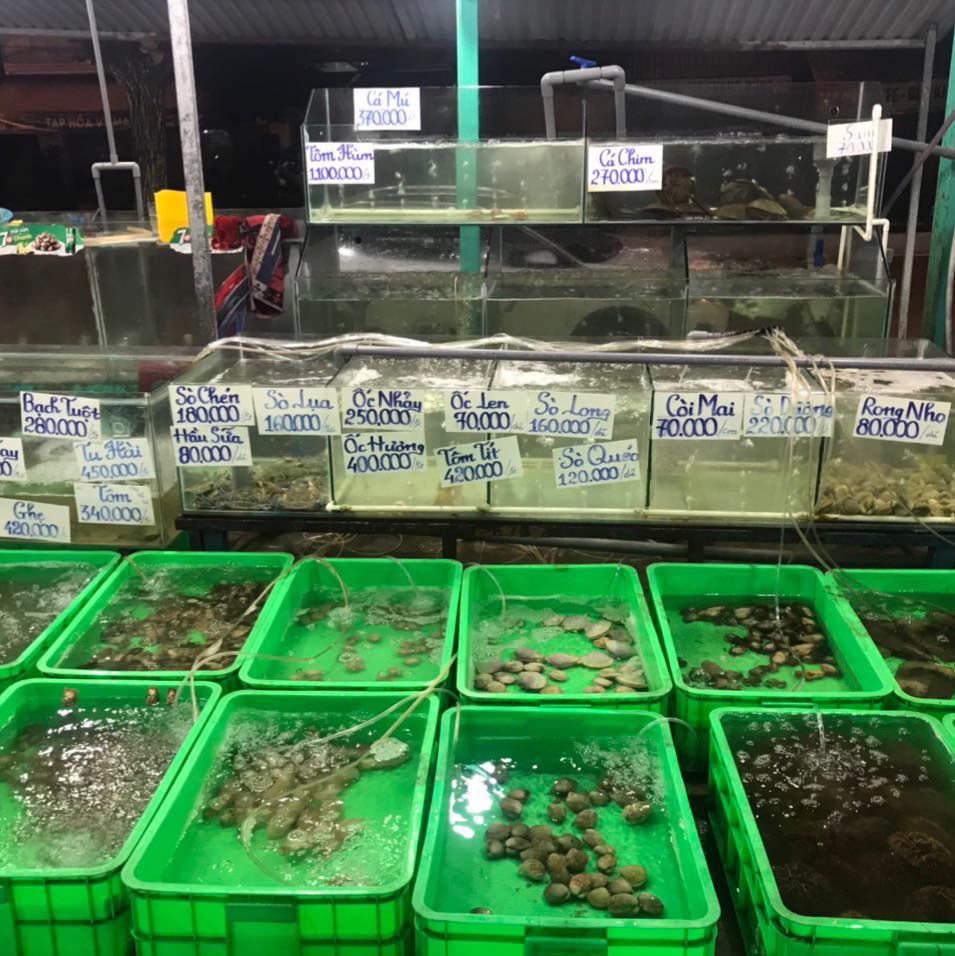 Hải Sản Tươi Sống Nha Trang 2026 Với 10 Quán Có Hồ Tôm Cua Tự Chọn