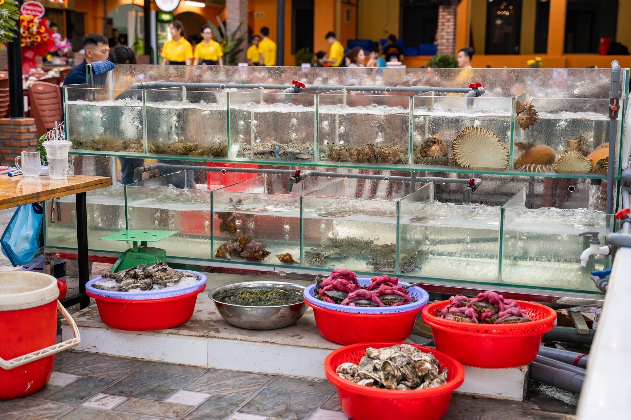 Giá Hải Sản Nha Trang 2026 Cập Nhật Bảng Giá Tôm, Cua, Ghẹ, Mực Mới Nhất