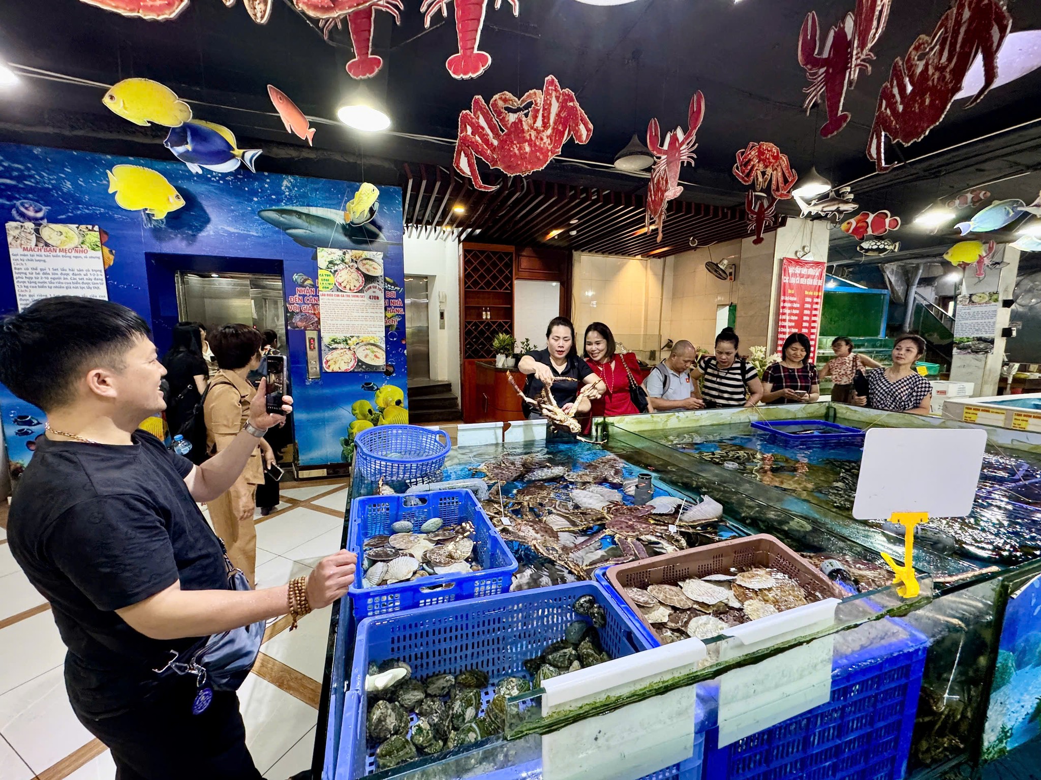 Hải Sản Tươi Sống Nha Trang 2026 Với 10 Quán Có Hồ Tôm Cua Tự Chọn