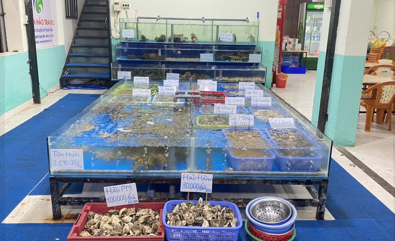 Hải Sản Tươi Sống Nha Trang 2026 Với 10 Quán Có Hồ Tôm Cua Tự Chọn