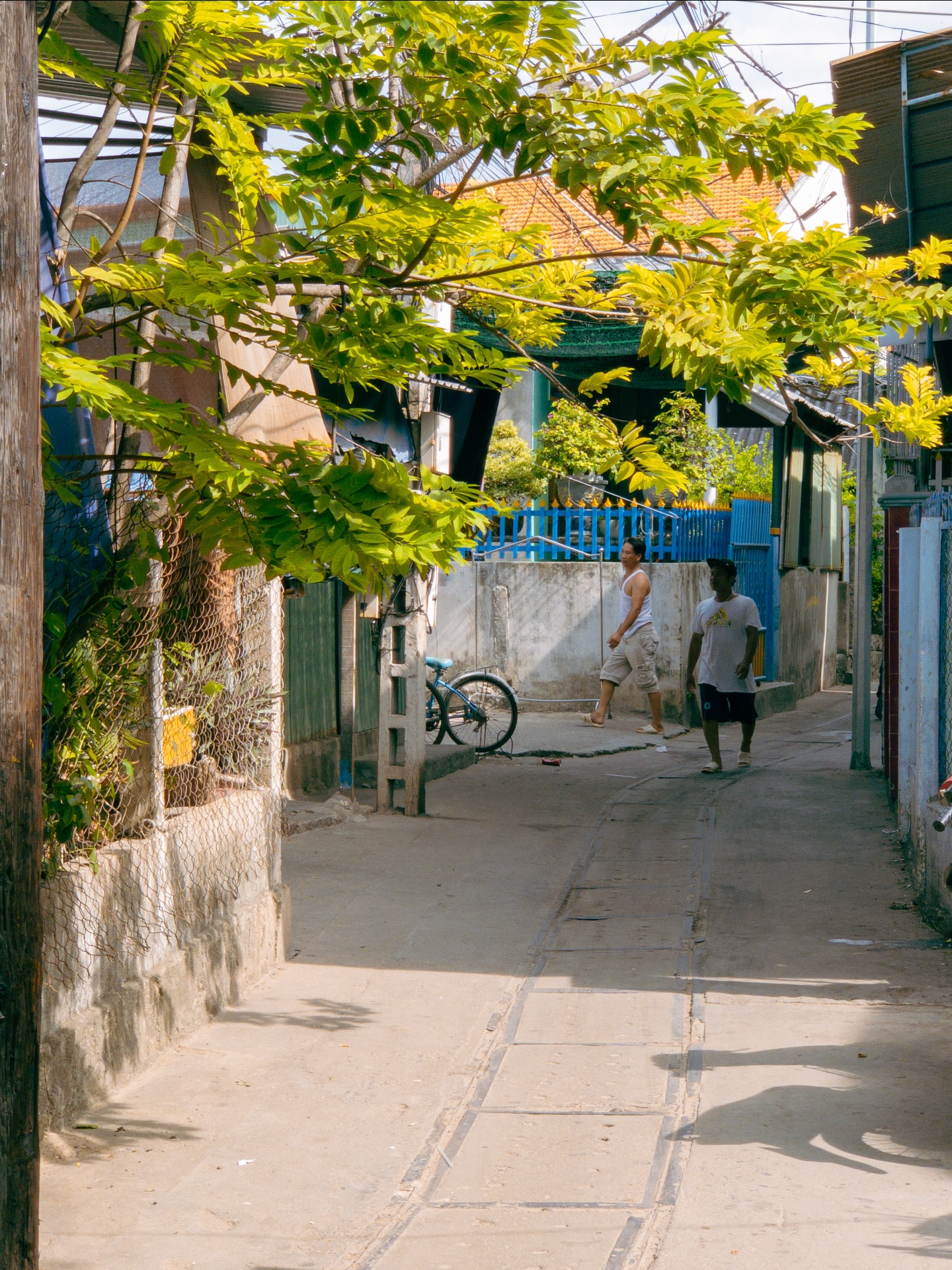 Trí Nguyên, Hòn Đảo Của Những Con Hẻm Và Làng Bè