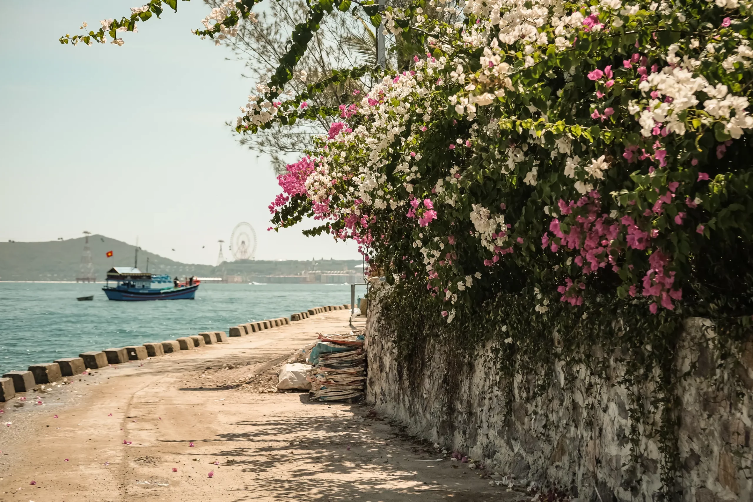 Một Nha Trang Rất Khác Qua Góc Nhìn Từ Hòn Đảo Nhỏ