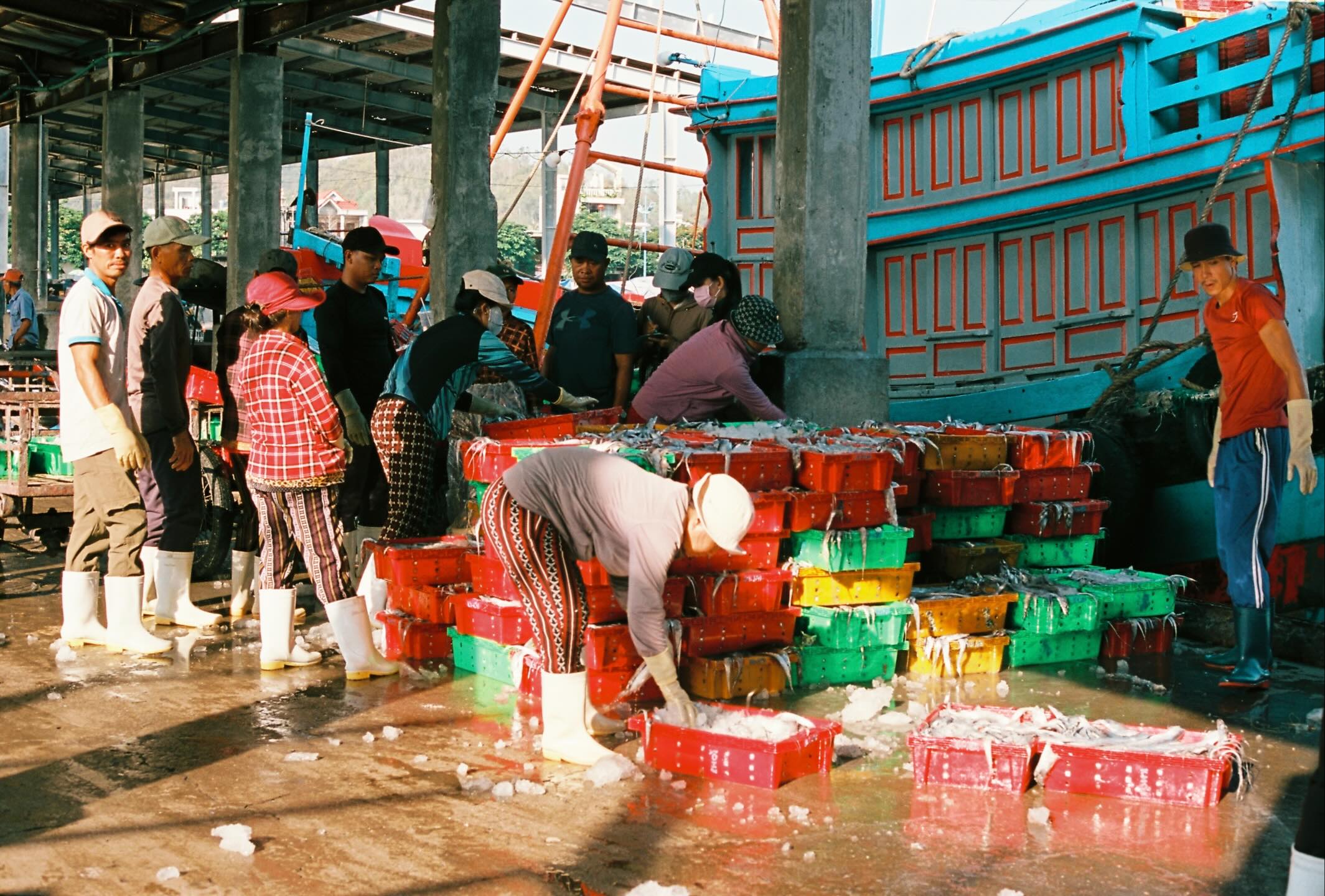 Sắc Màu Lao Động Ở Cảng Cá Vĩnh Lương Nha Trang