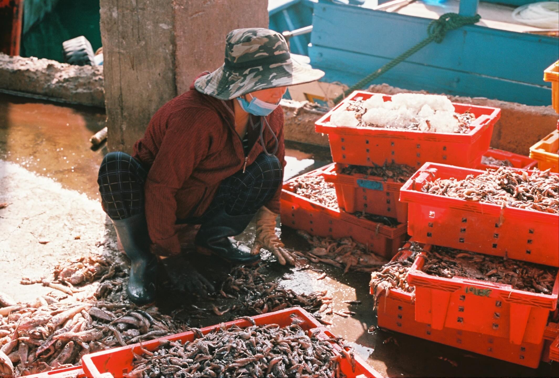 Sắc Màu Lao Động Ở Cảng Cá Vĩnh Lương Nha Trang