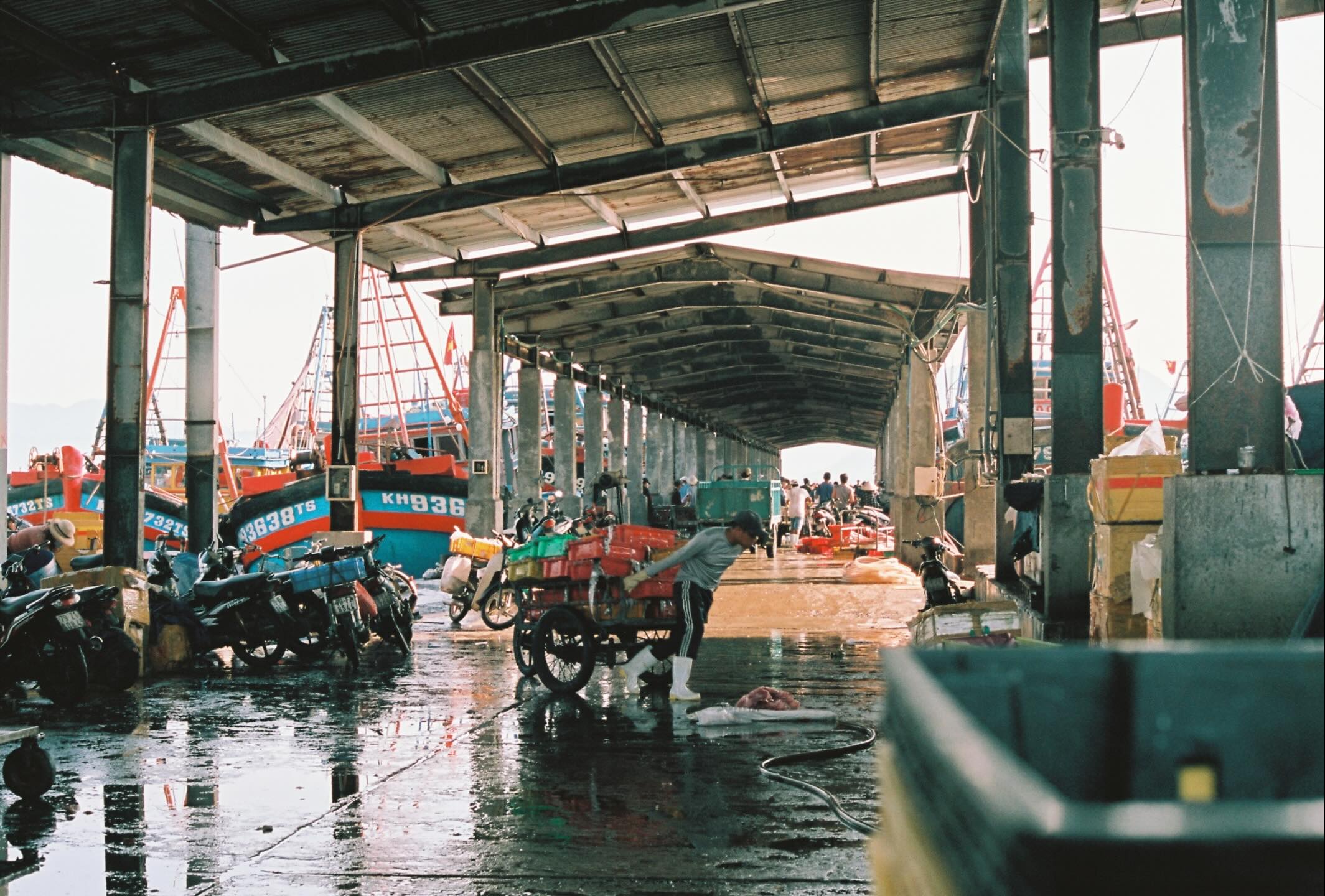 Sắc Màu Lao Động Ở Cảng Cá Vĩnh Lương Nha Trang