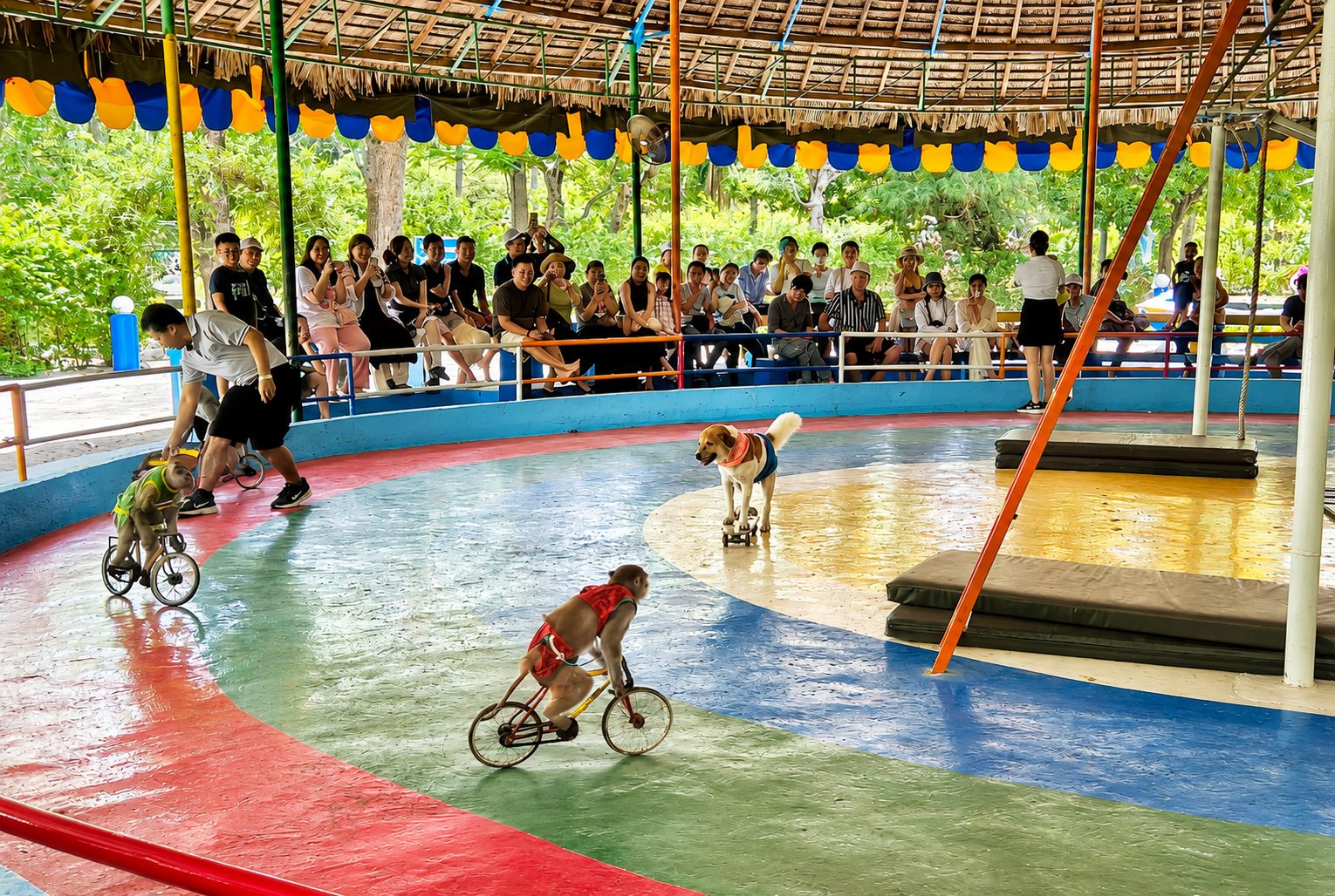 Đảo Khỉ Nha Trang Có Gì Chơi? Giá Vé Mới Nhất Và Kinh Nghiệm Tham Quan