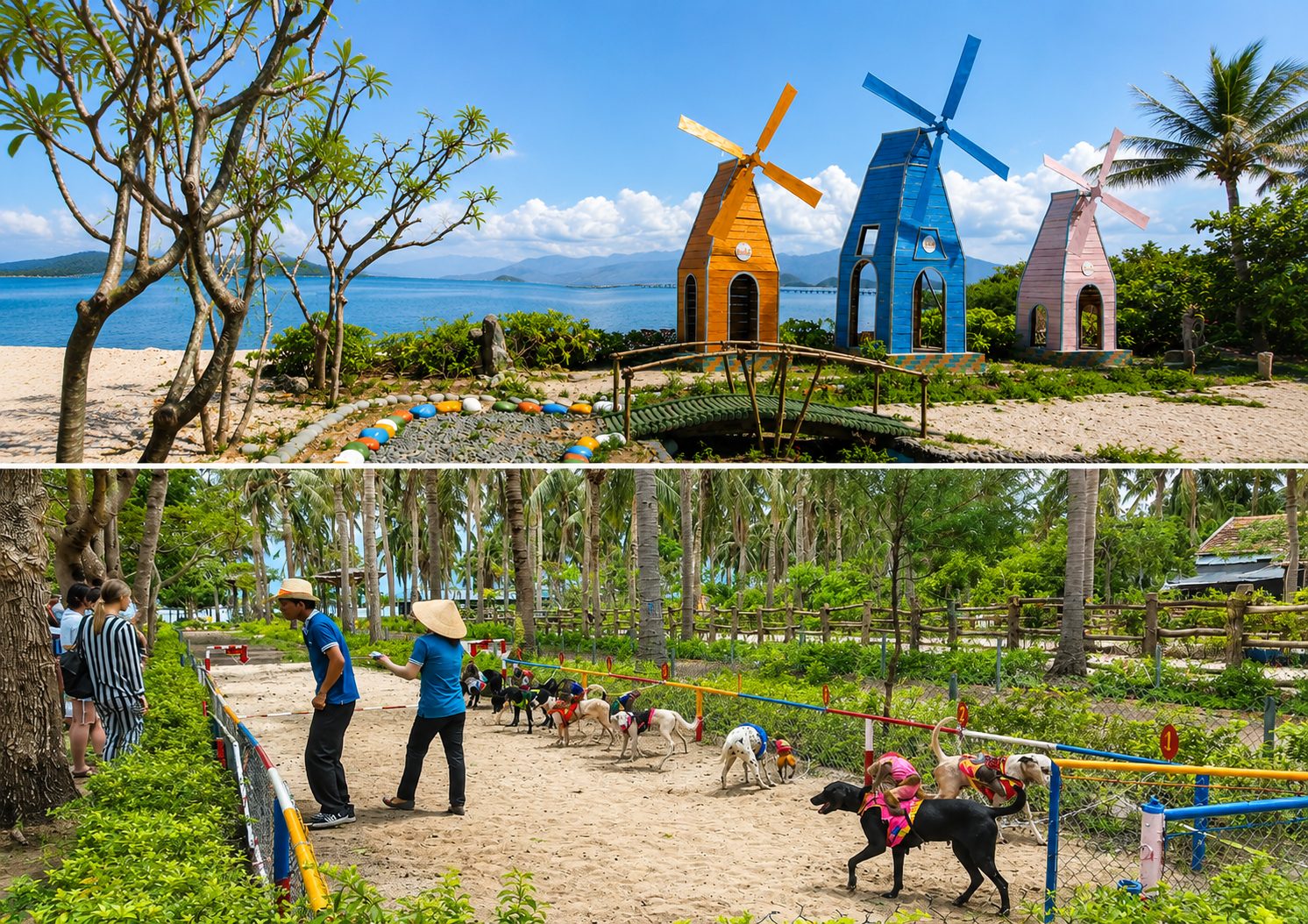 Đảo Khỉ Nha Trang Có Gì Chơi? Giá Vé Mới Nhất Và Kinh Nghiệm Tham Quan