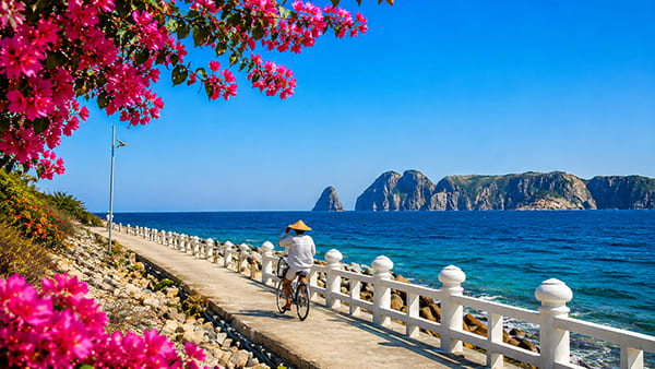 Đảo Bích Đầm Nha Trang Vẻ Đẹp Hoang Dã Thuần Khiết Của Thiên Nhiên