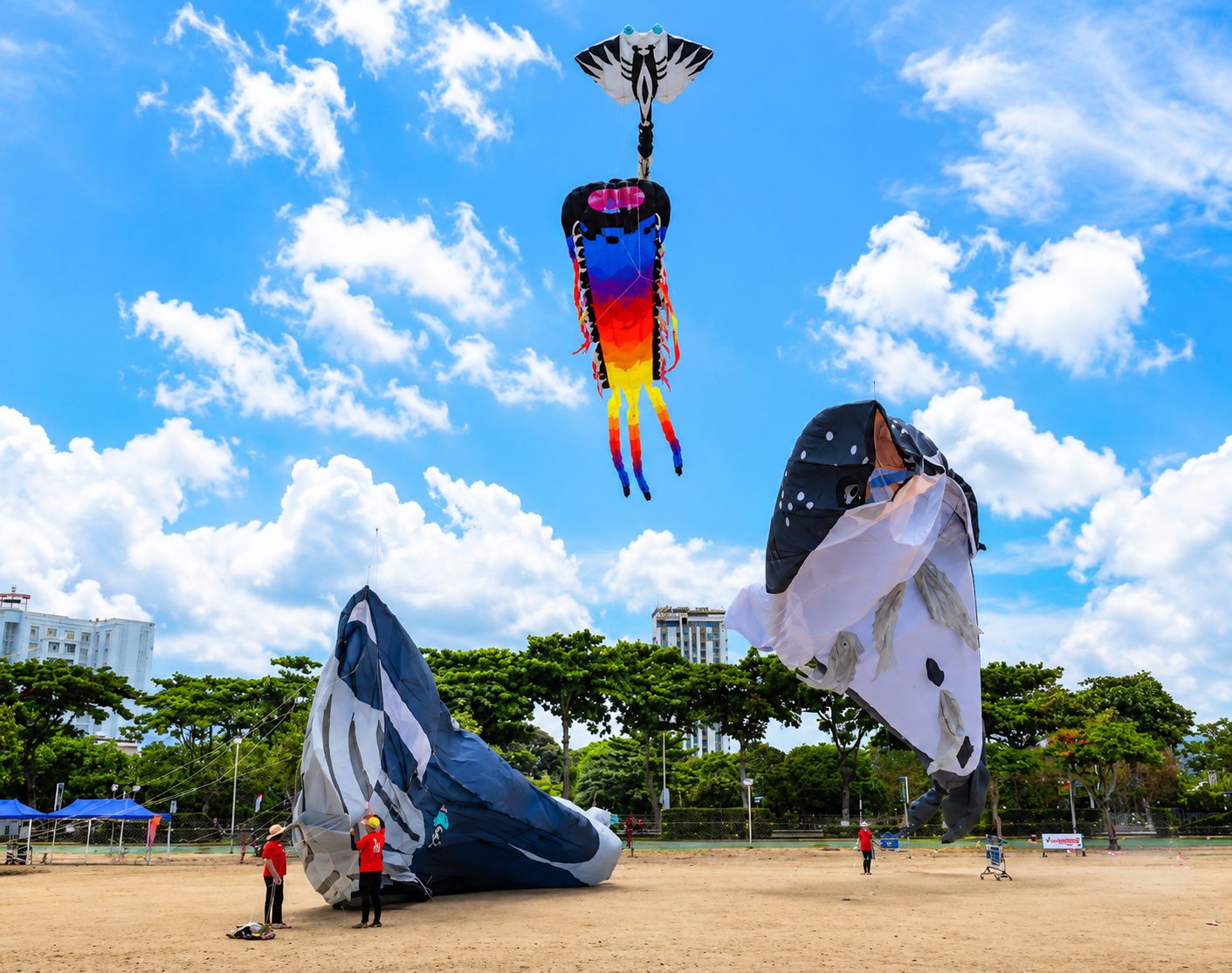 Lễ Hội Diều Khổng Lồ Nha Trang 2026 Lịch, Địa Điểm & Kinh Nghiệm