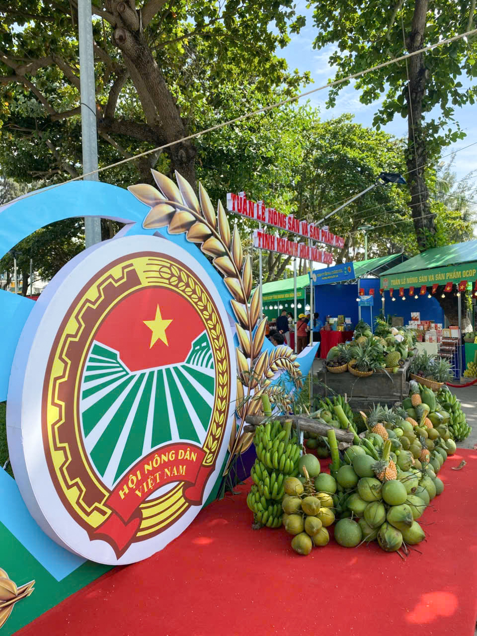 Tuần lễ Nông sản OCOP Khánh Hòa 2026 tại Festival Biển