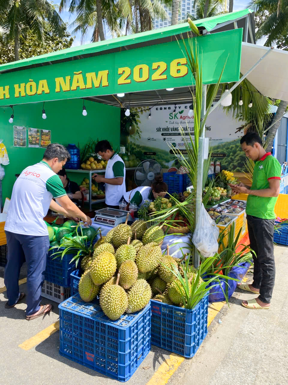 Tuần lễ Nông sản OCOP Khánh Hòa 2026 tại Festival Biển