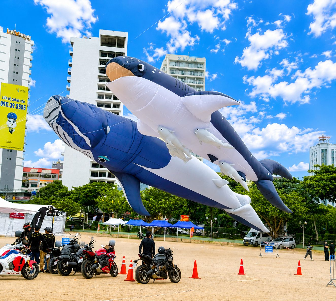 Lễ Hội Diều Khổng Lồ Nha Trang 2026 Lịch, Địa Điểm & Kinh Nghiệm