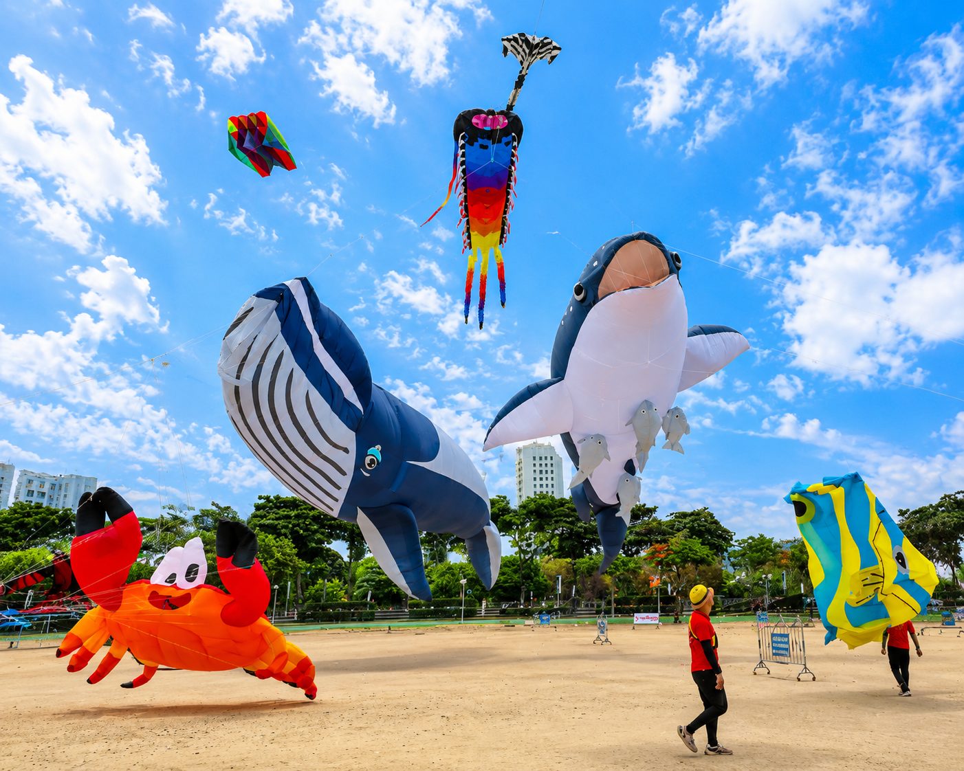 Lễ Hội Diều Khổng Lồ Nha Trang 2026 Lịch, Địa Điểm & Kinh Nghiệm