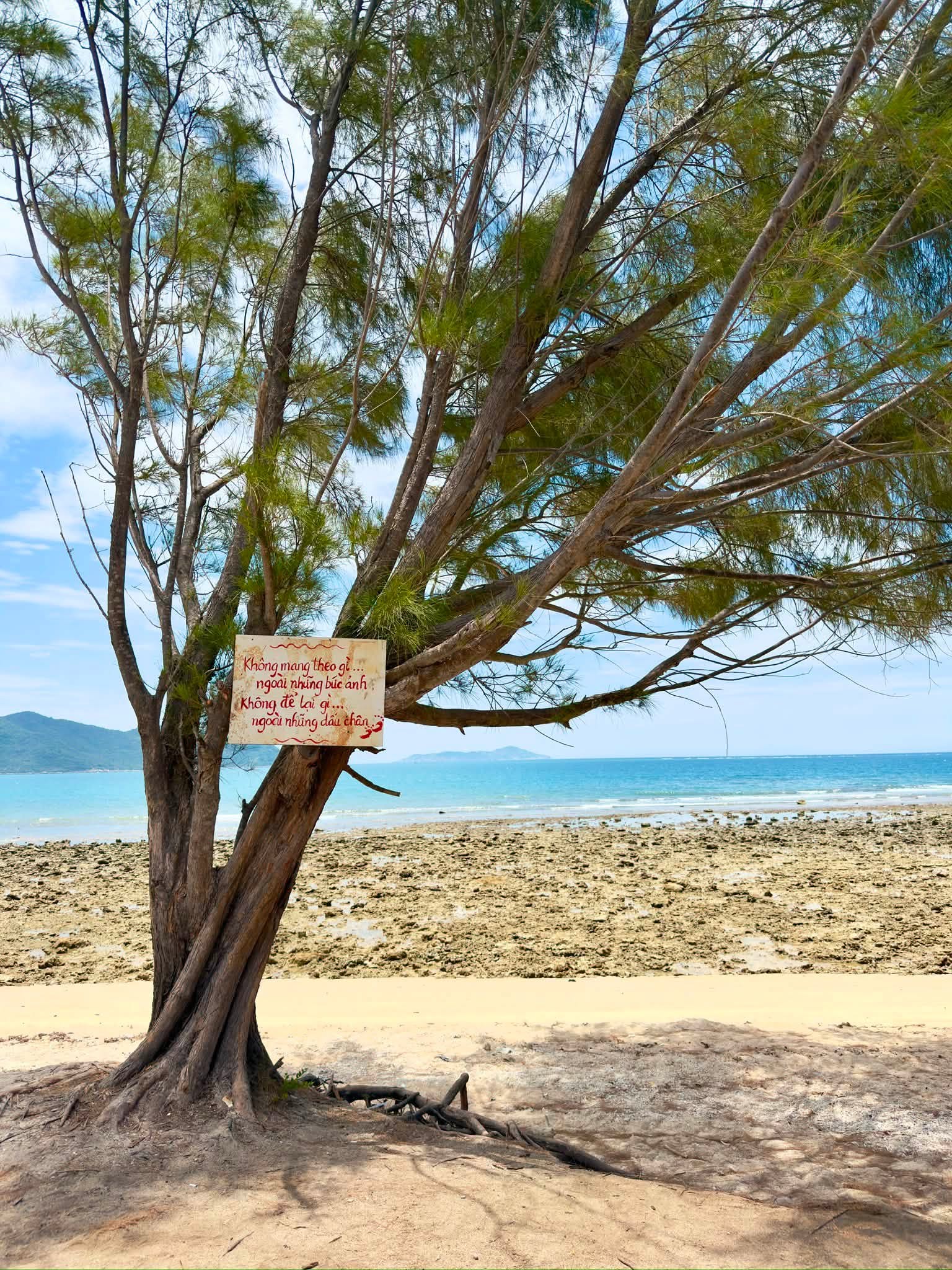 Ninh Vân Ninh Hòa Vẻ Đẹp Bình Yên Của Làng Chài Ven Biển Qua Những Bức Ảnh