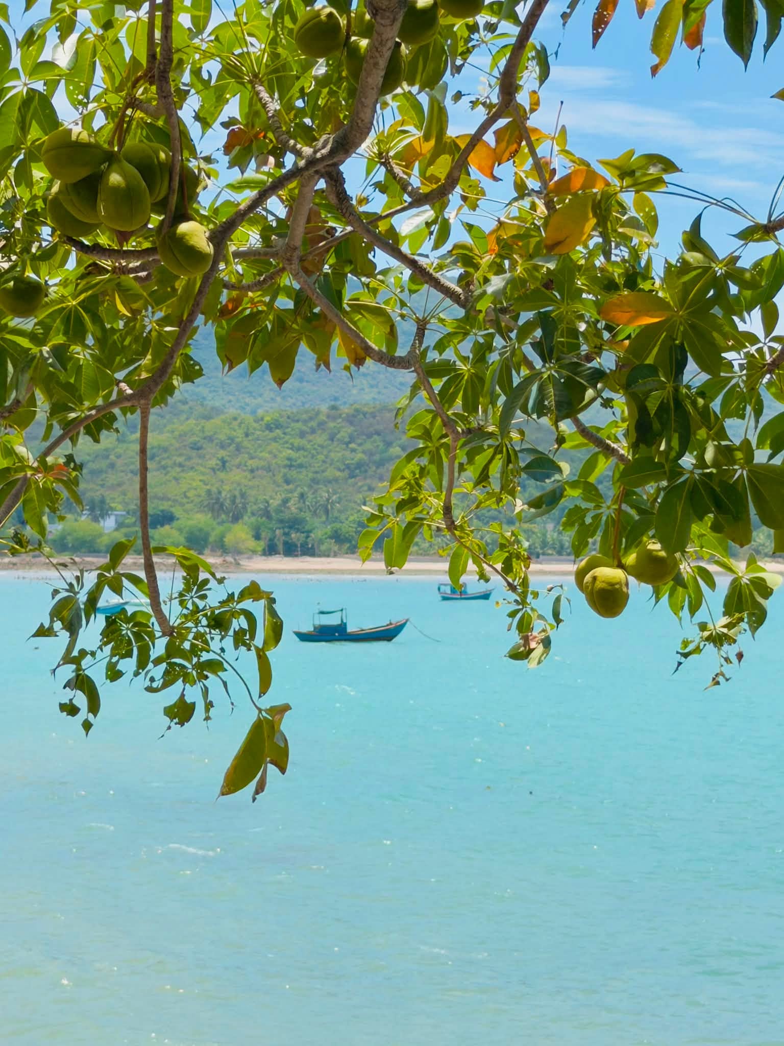 Ninh Vân Ninh Hòa Vẻ Đẹp Bình Yên Của Làng Chài Ven Biển Qua Những Bức Ảnh